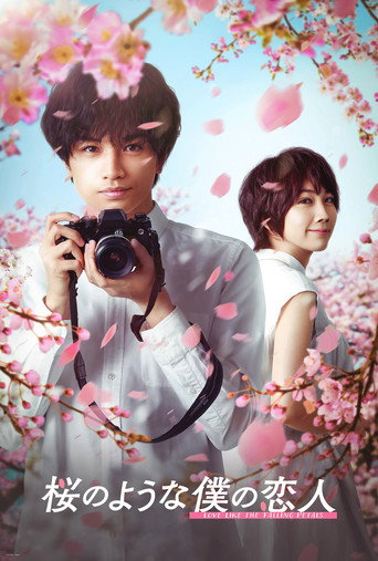 Regarder Love Like the Falling Petals en streaming complet